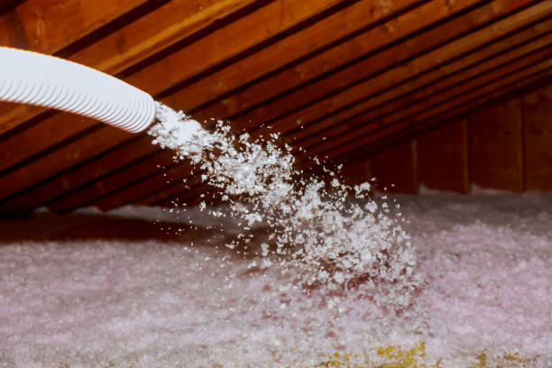 Best Residential Insulation Services  in North Barrington, IL